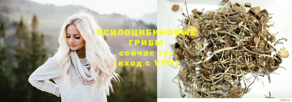 ешки Осинники